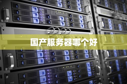 国产服务器哪个好