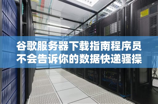 谷歌服务器下载指南程序员不会告诉你的数据快递骚操作