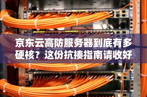 京东云高防服务器到底有多硬核？这份抗揍指南请收好