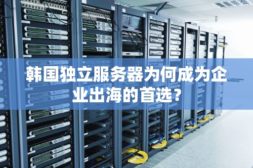 韩国独立服务器为何成为企业出海的首选？