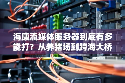 海康流媒体服务器到底有多能打？从养猪场到跨海大桥的硬核生存指南