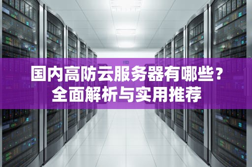 国内高防云服务器有哪些？全面解析与实用推荐