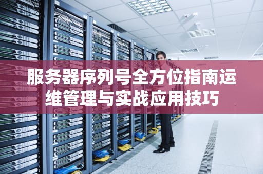 服务器序列号全方位指南运维管理与实战应用技巧