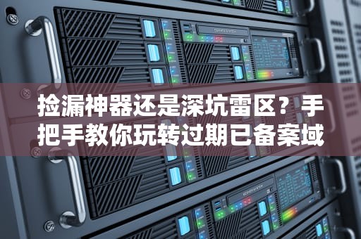 捡漏神器还是深坑雷区？手把手教你玩转过期已备案域名的正确姿势