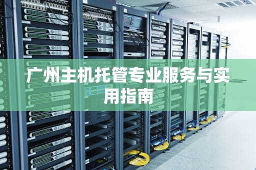 广州主机托管专业服务与实用指南