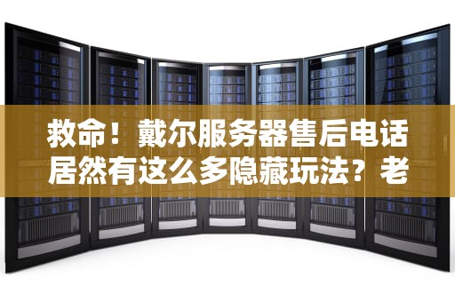 救命！戴尔服务器售后电话居然有这么多隐藏玩法？老司机教你解锁正确维修姿势