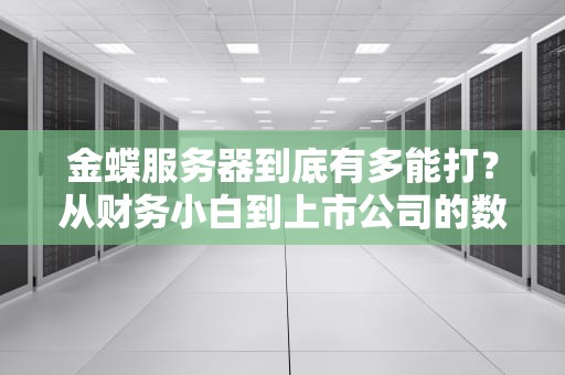 金蝶服务器到底有多能打？从财务小白到上市公司的数字化心脏养成记