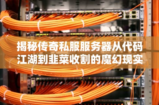 揭秘传奇私服服务器从代码江湖到韭菜收割的魔幻现实主义之旅