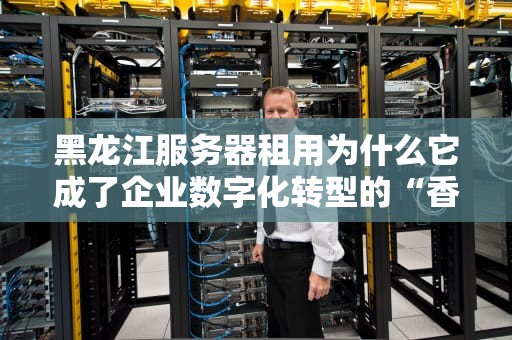 黑龙江服务器租用为什么它成了企业数字化转型的“香饽饽”？