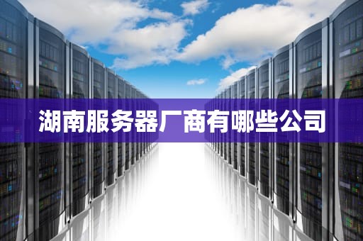 湖南服务器厂商有哪些公司