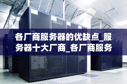 各厂商服务器的优缺点_服务器十大厂商_各厂商服务器的优缺点分析