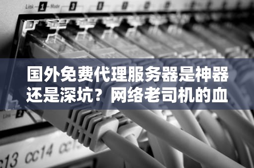 国外免费代理服务器是神器还是深坑？网络老司机的血泪经验谈