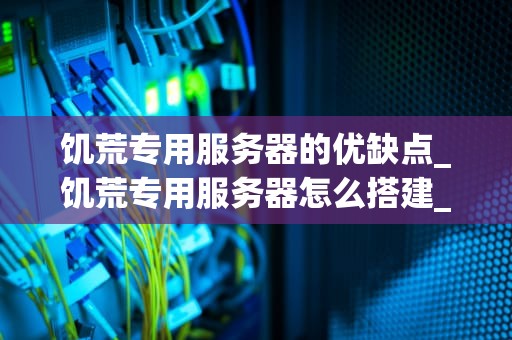 饥荒专用服务器的优缺点_饥荒专用服务器怎么搭建_饥荒专用服务器的优缺点深度剖析