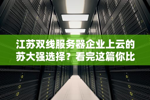 江苏双线服务器企业上云的苏大强选择？看完这篇你比高启强更懂机房