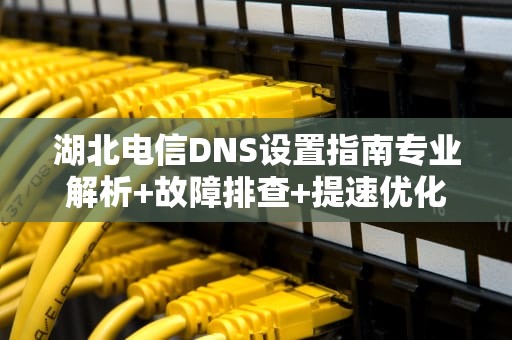 湖北电信DNS设置指南专业解析+故障排查+提速优化方案