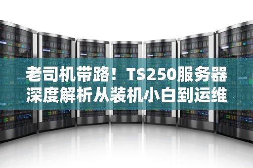 老司机带路！TS250服务器深度解析从装机小白到运维大佬的避坑指南