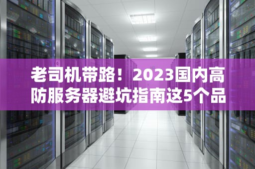 老司机带路！2023国内高防服务器避坑指南这5个品牌的抗揍能力让我惊呆