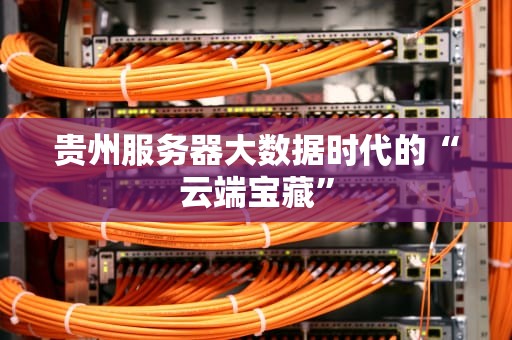 贵州服务器大数据时代的“云端宝藏”