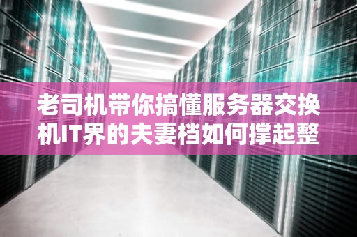 老司机带你搞懂服务器交换机IT界的夫妻档如何撑起整个互联网？
