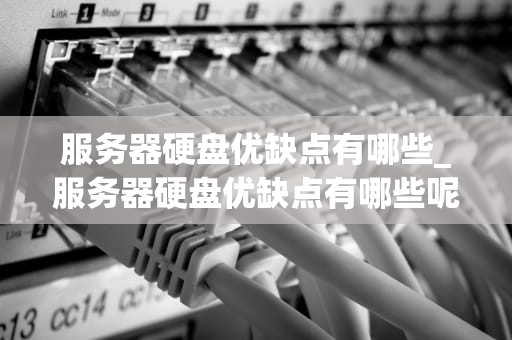 服务器硬盘优缺点有哪些_服务器硬盘优缺点有哪些呢_服务器硬盘的优缺点分析