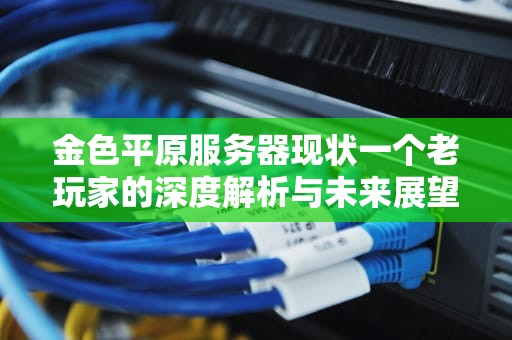 金色平原服务器现状一个老玩家的深度解析与未来展望