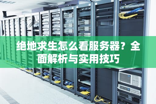 绝地求生怎么看服务器？全面解析与实用技巧