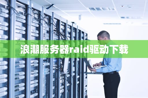 浪潮服务器raid驱动下载