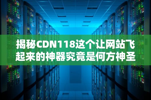 揭秘CDN118这个让网站飞起来的神器究竟是何方神圣？