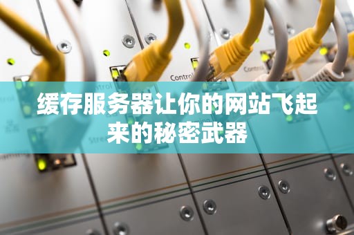 缓存服务器让你的网站飞起来的秘密武器