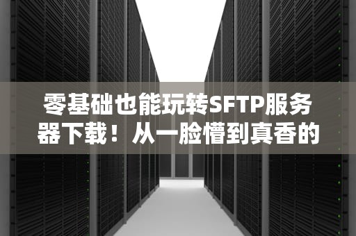零基础也能玩转SFTP服务器下载！从一脸懵到真香的保姆级教程