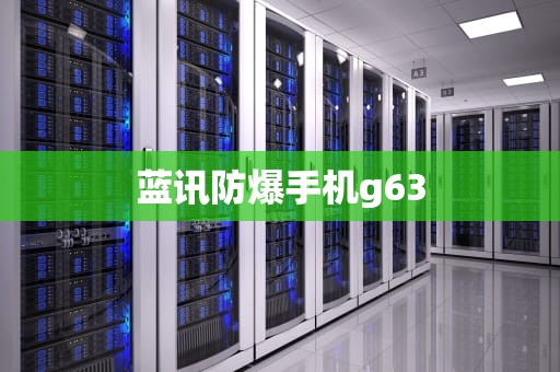 蓝讯防爆手机g63