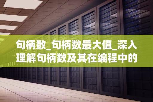 句柄数_句柄数最大值_深入理解句柄数及其在编程中的重要性