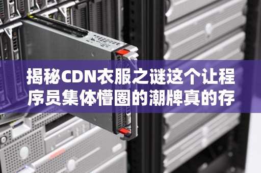 揭秘CDN衣服之谜这个让程序员集体懵圈的潮牌真的存在吗？
