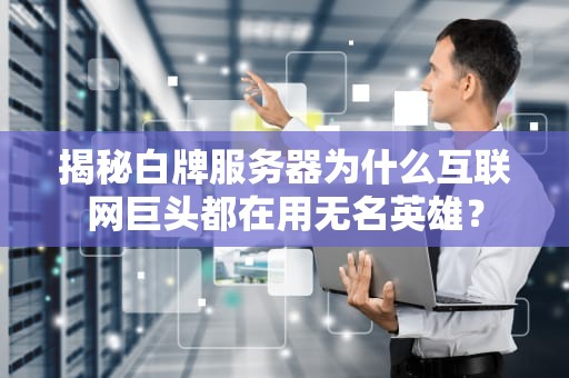 揭秘白牌服务器为什么互联网巨头都在用无名英雄？