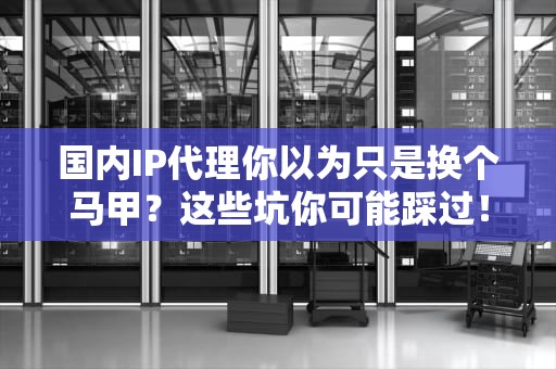 国内IP代理你以为只是换个马甲？这些坑你可能踩过！