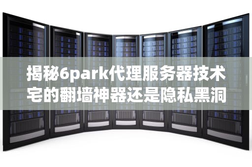 揭秘6park代理服务器技术宅的翻墙神器还是隐私黑洞？