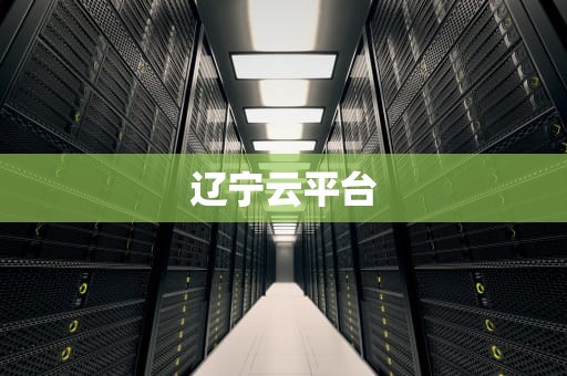 辽宁云平台