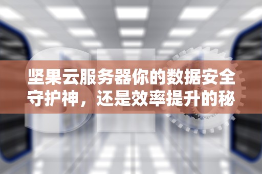 坚果云服务器你的数据安全守护神，还是效率提升的秘密武器？