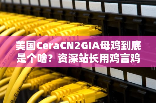 美国CeraCN2GIA母鸡到底是个啥？资深站长用鸡言鸡语带你搞懂机房那些事儿