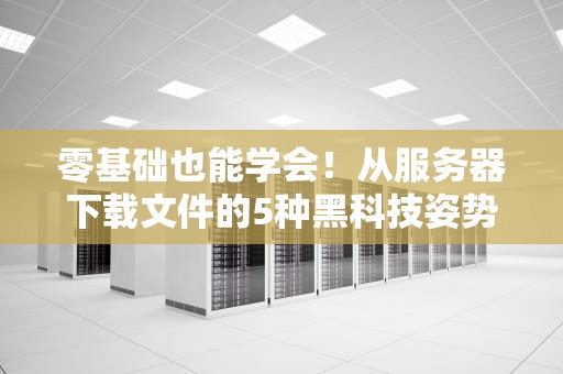零基础也能学会！从服务器下载文件的5种黑科技姿势（附保姆级避坑指南）