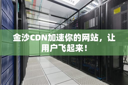 金沙CDN加速你的网站，让用户飞起来！