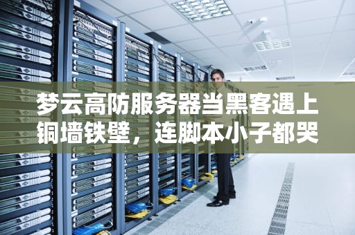 梦云高防服务器当黑客遇上铜墙铁壁，连脚本小子都哭着改行送外卖