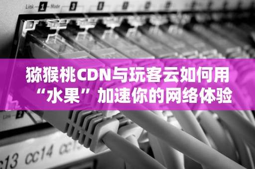 猕猴桃CDN与玩客云如何用“水果”加速你的网络体验？