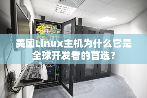 美国Linux主机为什么它是全球开发者的首选？