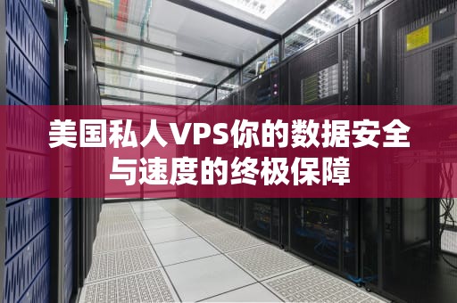 美国私人VPS你的数据安全与速度的终极保障
