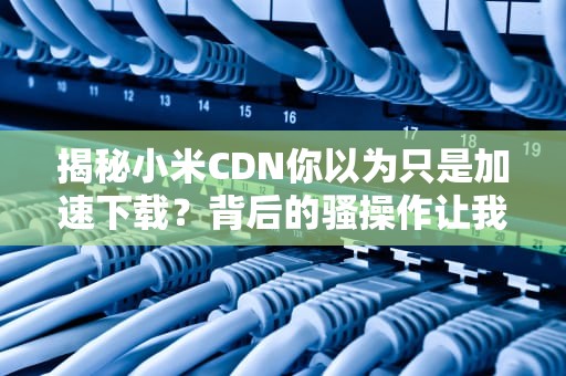 揭秘小米CDN你以为只是加速下载？背后的骚操作让我直呼内行！