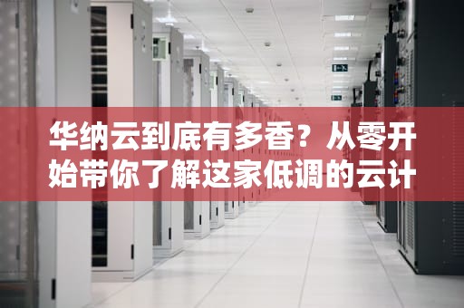 华纳云到底有多香？从零开始带你了解这家低调的云计算黑马
