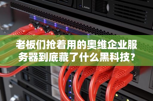 老板们抢着用的奥维企业服务器到底藏了什么黑科技？资深码农带你扒开代码看真相