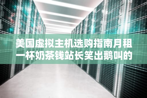 美国虚拟主机选购指南月租一杯奶茶钱站长笑出鹅叫的秘密