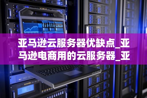 亚马逊云服务器优缺点_亚马逊电商用的云服务器_亚马逊云服务器的优缺点深度分析